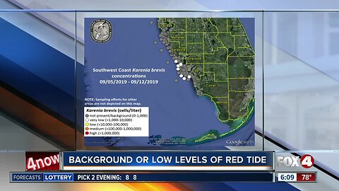 Low levels of red tide detected off Charlotte and Lee counties