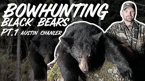 Bowhunting Black Bears! Pt.1 Austin Chandler