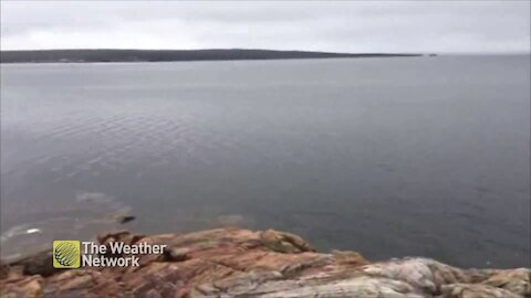 Calm waters and grey skies in Newfoundland