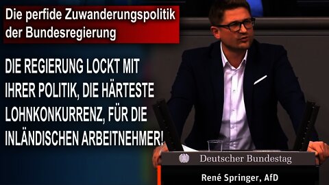 Die perfide Zuwanderungspolitik der Bundesregierung, René Springer AfD