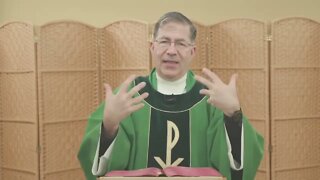 11-12-22 Homily - The Priesthood and the Defense of the Unborn