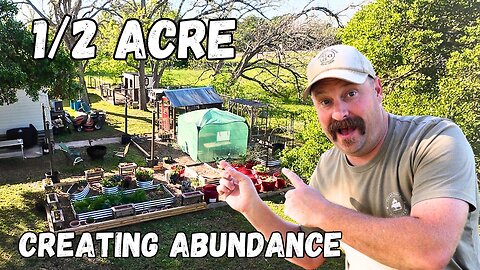 Creating Abundance on Our Half Acre Homestead