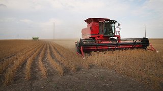 China's New Tariffs On US Imports Threaten American Farmers