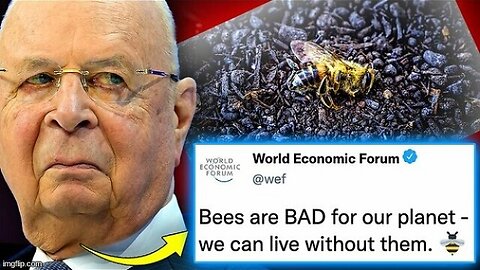 Allegedly WEF Orders Govt's To Burn Millions of Bees To Usher In 'Global Famine' (Video)