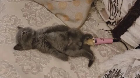 CAT FARTING ON Microphone WHILE SLEEPING