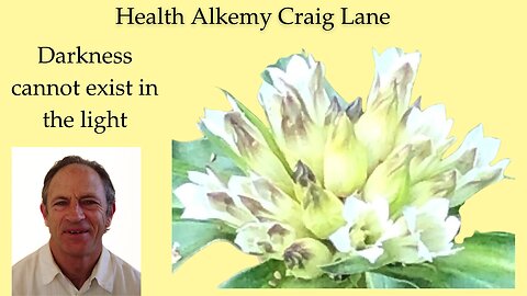 Craig Lane Health Alkemy Herbal Healing Stories Sure To Amaze You!