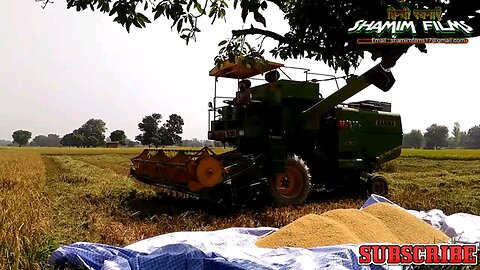 Harvesting Paddy by Combined Machine