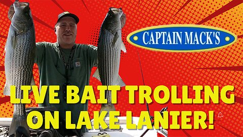Livebait trolling Lake Lanier in the fall!