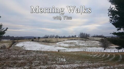 Morning Walks with Yizz 186