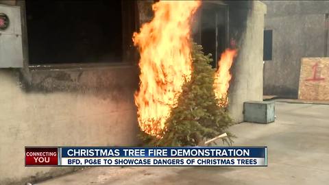 Christmas tree fire demonstration