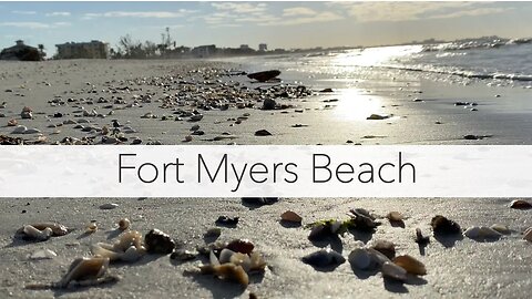 Fort Myers Beach walk. What sea shells can I find on Fort Myers Beach?