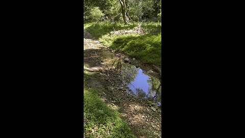 Wells Hill preserve. PERFECT day. Come visit sometime!