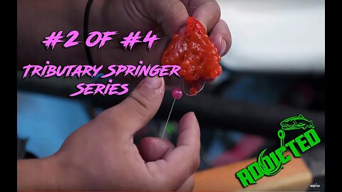 "How-To" | Rig and Fish with Bobber & Eggs for Spring Chinook Salmon