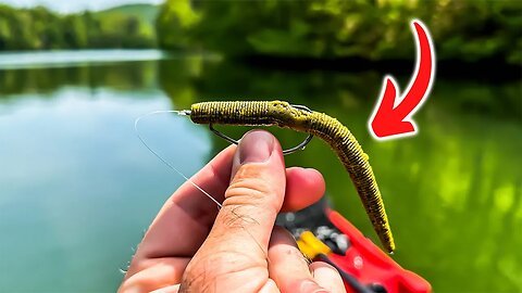 STOP Fishing A Wacky Rig AND Do This INSTEAD