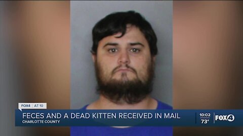 Feces and dead kitten mailed to woman in Port Charlotte