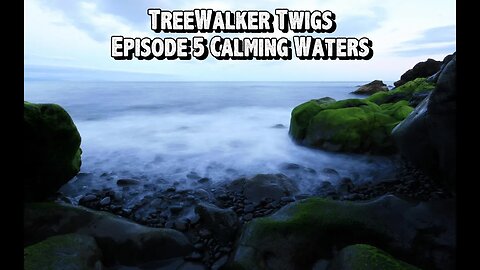 TreeWalker's Twigs Episode 5: Calming Waters