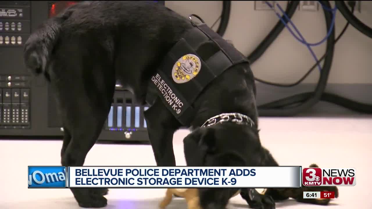 Bellevue Police Department adds electronic storage device K-9