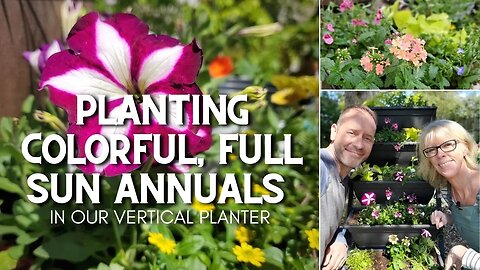 Planting Colorful, Full Sun Annuals in Our Vertical Planter 😃