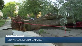Storm damage in Royal Oak