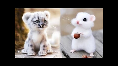 AWW SO CUTE! Cutest baby animals Videos Compilation Cute moment of the Animals - Cutest Animals