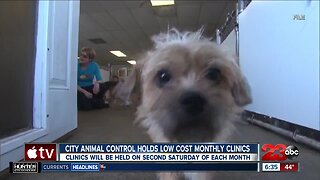 City animal control holds low cost monthly clinics