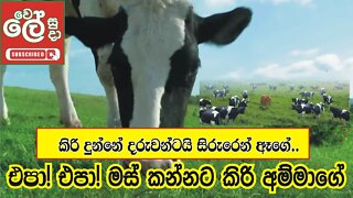 කිරි දුන්නේ දරුවන්ටයි | Kiri Dunne Daruwantai | Wele Suda | Sinhala song