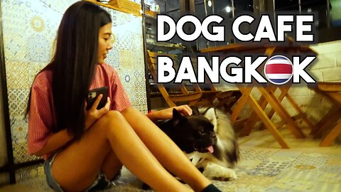 I took a Thai Girl to Coffee Dog Cafe in Bangkok