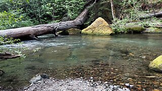 RARE VERY HIGH QUALITY SWIMMING HOLE @ Panther Creek Campground! | Gifford Pinchot | Washington | 4K