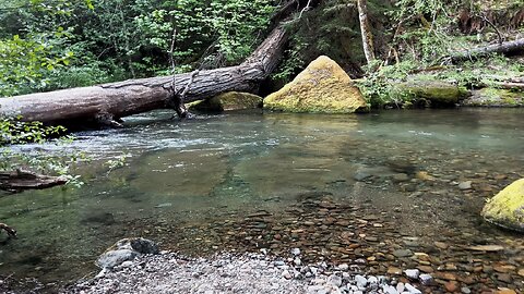 RARE VERY HIGH QUALITY SWIMMING HOLE @ Panther Creek Campground! | Gifford Pinchot | Washington | 4K