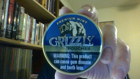 The Grizzly Premium Mint Pouches Review