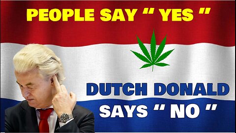 Amsterdam Goes LEGAL!!!! #dutch