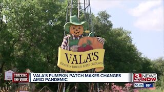 Vala's Pumpkin Patch Makes Changes Amid Pandemic