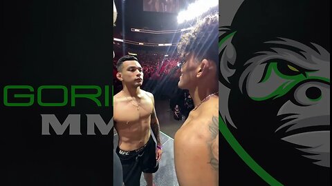 Raul Rosas Jr vs Christian Rodriguez: UFC 287 Face-off