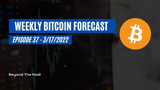 Bitcoin Forecast Ep.37: BTC Exchange Sentiment Has Shifted Bearish - Will Prices Drop?