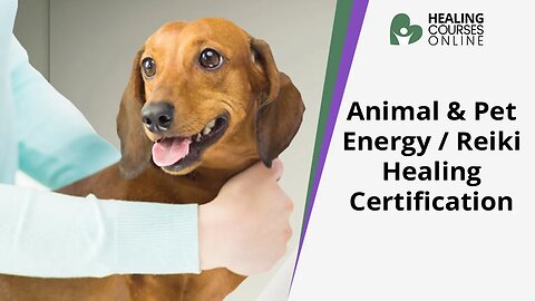 Animal & Pet Reiki / Energy Healing Certification | Heal Your Pet | Animal Healing Course |
