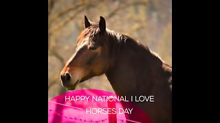 National I Love Horses Day