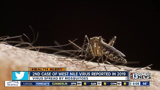 Second reported case of West Nile virus this year