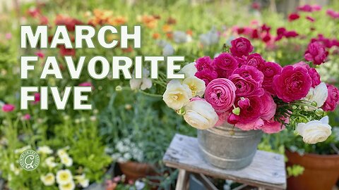 MARCH FAVORITE FIVE: What's Growing in the Garden Right Now?