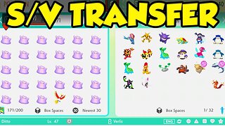 Pokemon Sword & Shield to Pokemon Scarlet & Violet Pokemon Home Transfer!