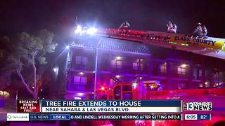 Tree fire extends to home near Sahara, Las Vegas Boulevard