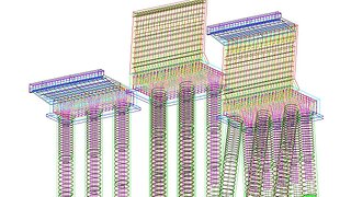 Reinforcement of concrete drilled piles - software