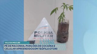 Vale do Mucuri: Pé de Maconha, Porções de Cocaína e Celular apreendidos em Teófilo Otoni.