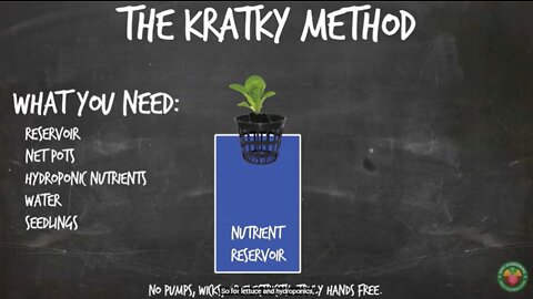 How to Set Up The Kratky Hydroponics Method (Tutorial)