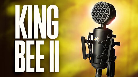 NEAT Microphones King Bee II Review — Budget XLR broadcast sounding microphone