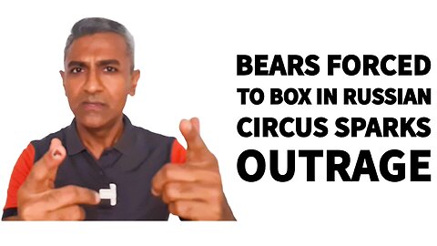 Bears Forced to Box in Russian Circus Sparks Outrage
