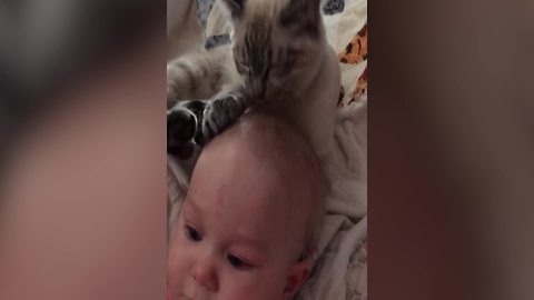 The Ultimate Cuddle Between A Cat And A Baby
