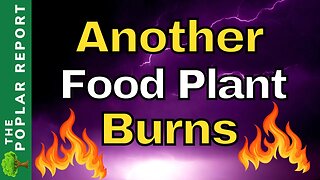 Critical Updates You Need To Know- Another Food Plant Fire, 10,000+ Citizens Hacked, & Shortages