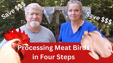 Beginners Guide to Processing Chickens & Cost Saving Tips