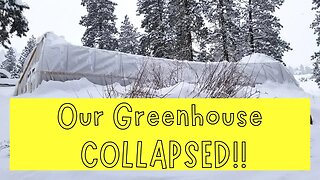 We FAILED... Our Greenhouse Collapsed!