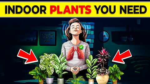 9 Plants You Should Keep In Your Bedroom